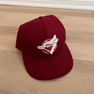 Red Blue Jays Baseball Hat